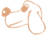 Domácí mazlíčci